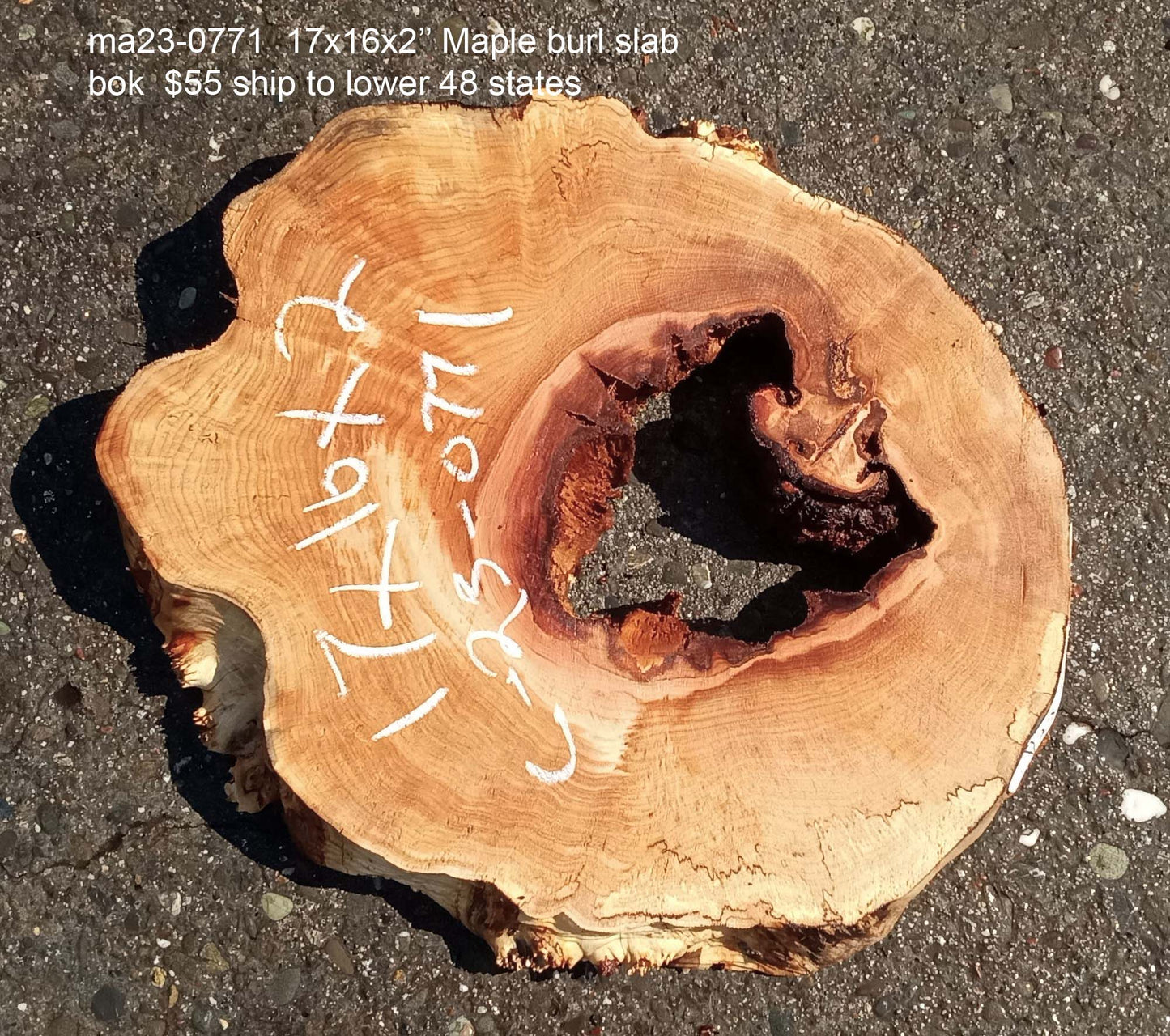 Maple burl | cookie cut | river table | live edge slab | DIY ideas | ma23-0771