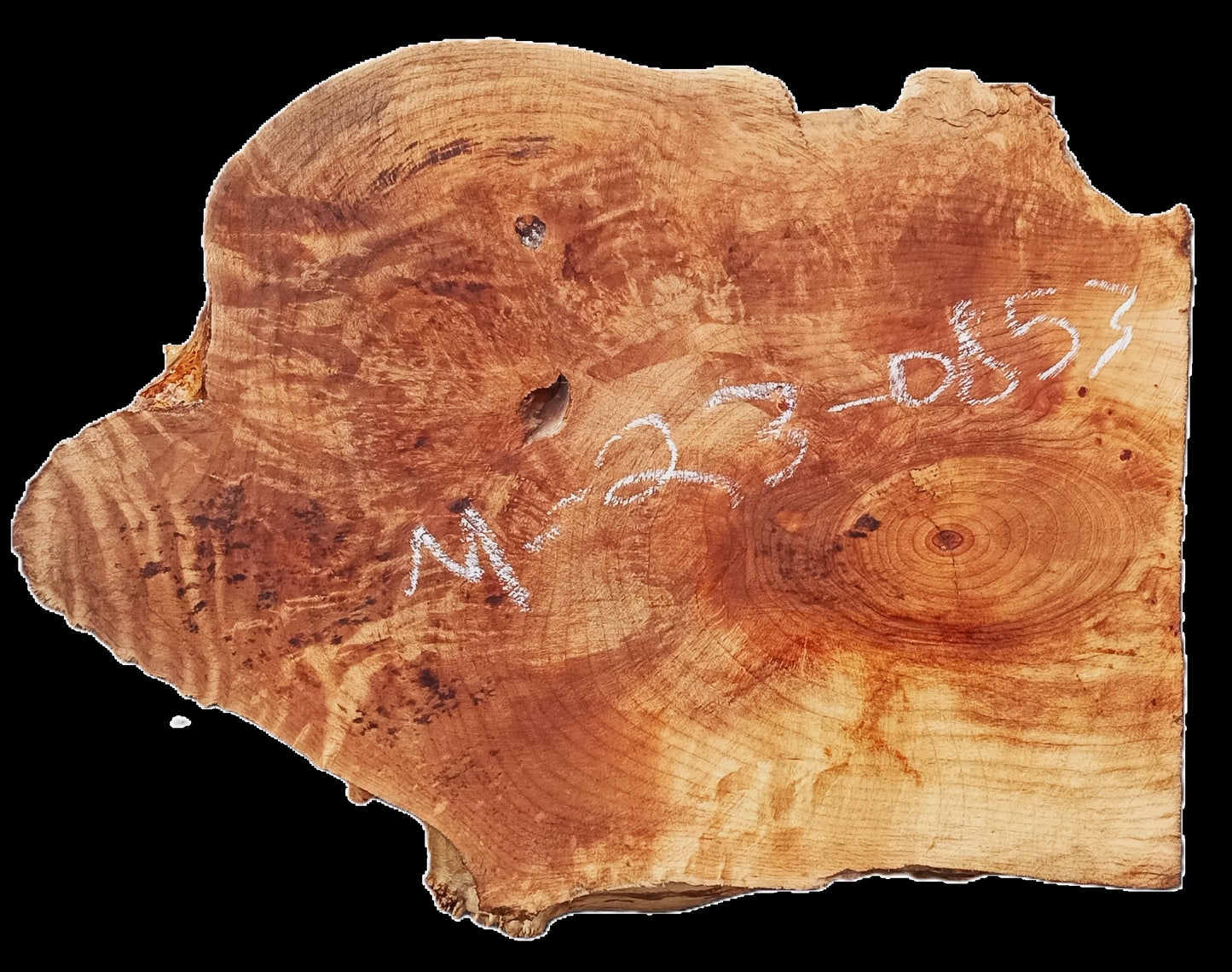 Maple Slab | DIY Crafts | Craftwood | Small Table | MA23-0853