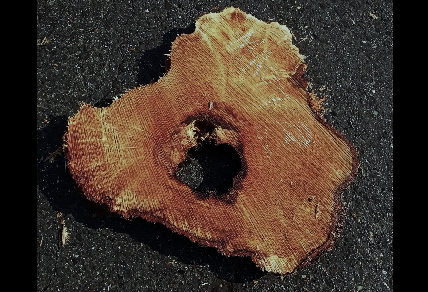 Maple burl slab | epoxy river table | DIY wood | craft woods | ma23-0903