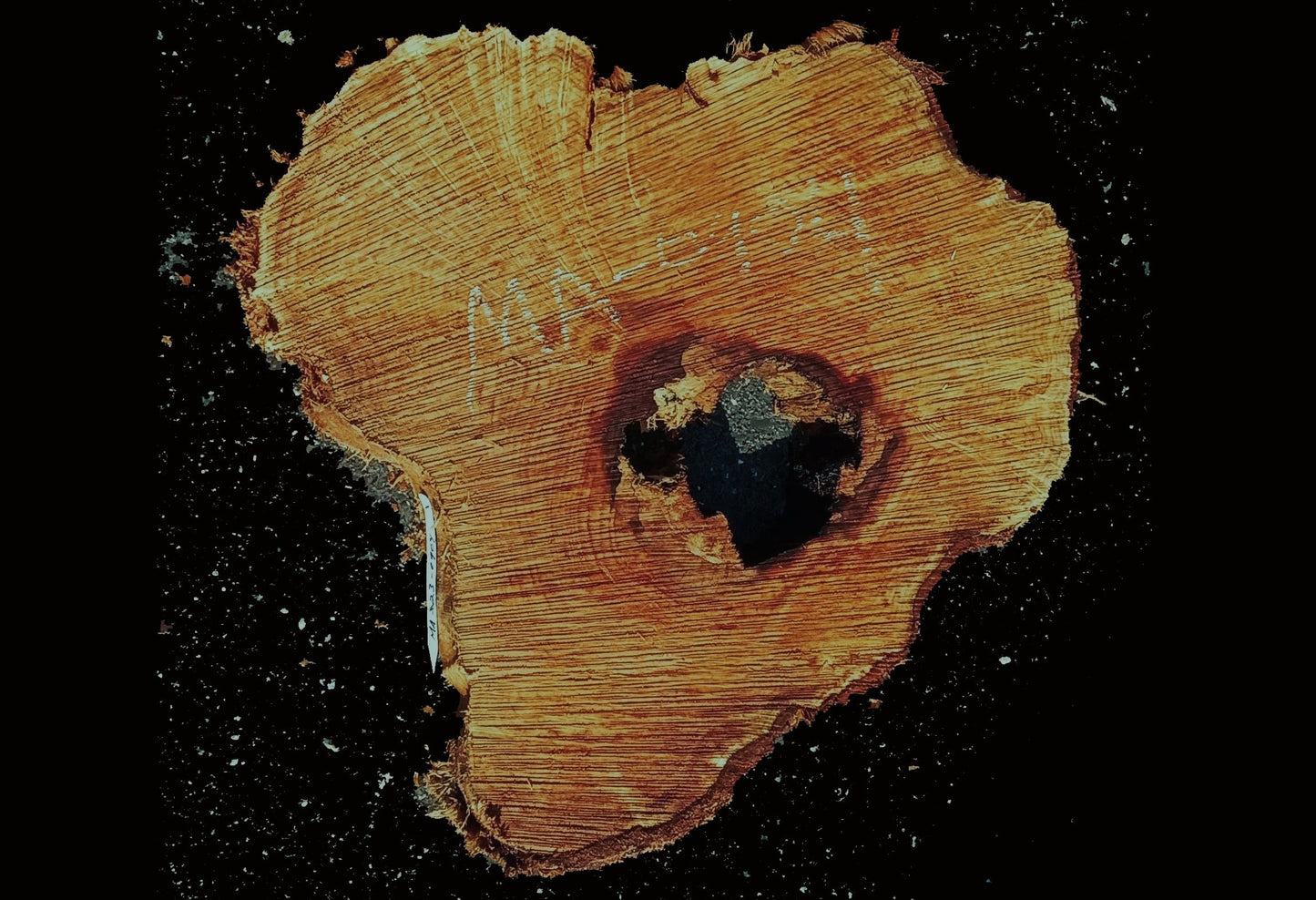 Maple burl slab | epoxy river table | DIY wood | craft woods | ma23-0904