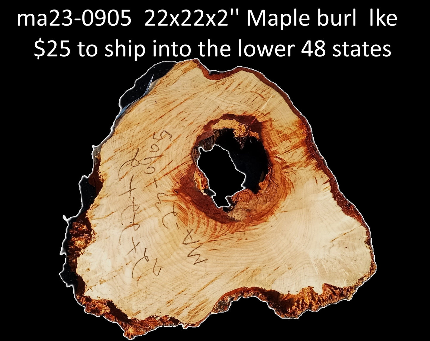 Maple Burl Slab | DIY Crafts | Craftwood | Burl Table | MA23-0905