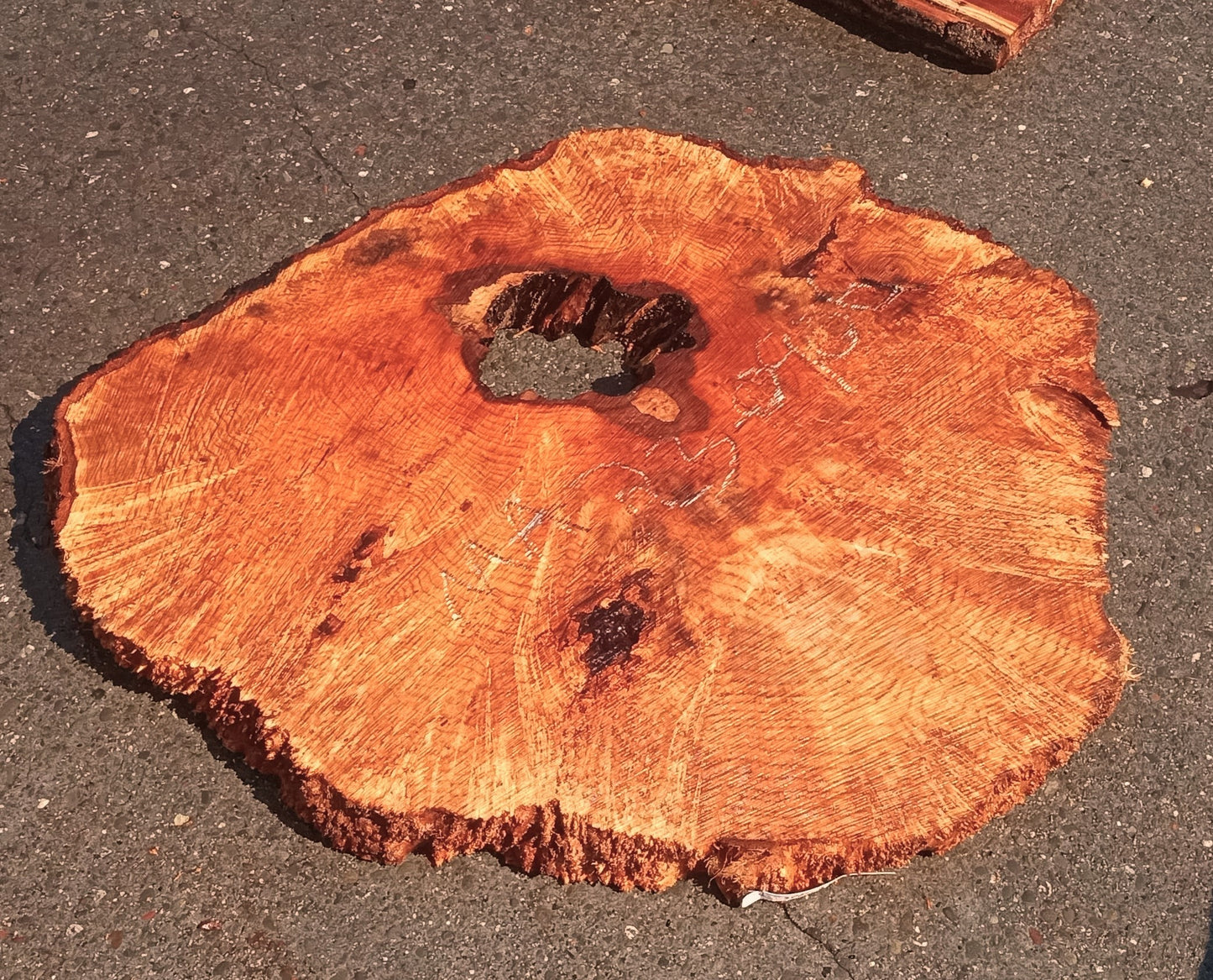 Maple burl | cookie cut | craft woods | river table | r23-0869
