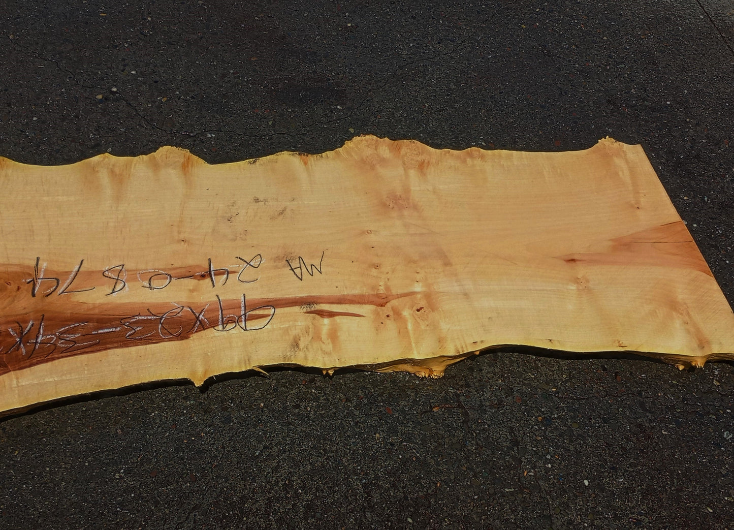 Maple Cluster Burl Log | Table Top | Counter Top | Epoxy Idea | Ma24-0874
