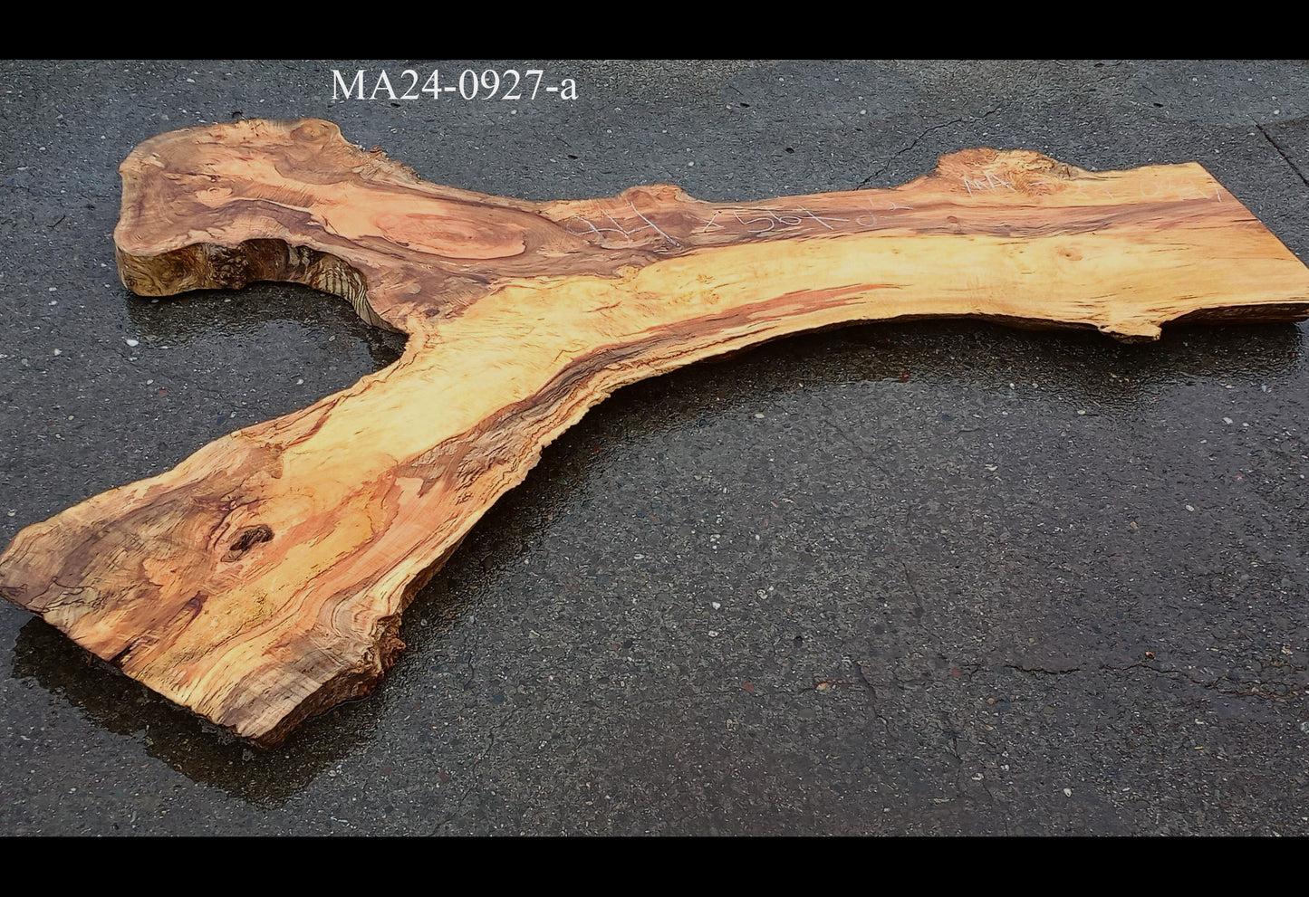 Spalted Maple Slab | Table | Live Edge | Headboard | DIY | MA24-0927
