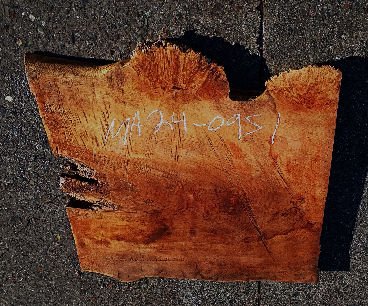 Maple Burl Slab | Burl | Craft Woods | DIY | Epoxy Idea| MA24-0951