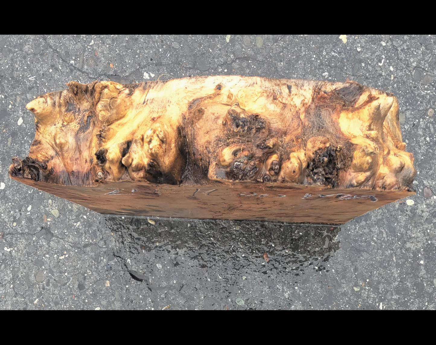 Spalted Maple burl | wood turning | Craft Woods | DIY crafts | ma24-1600