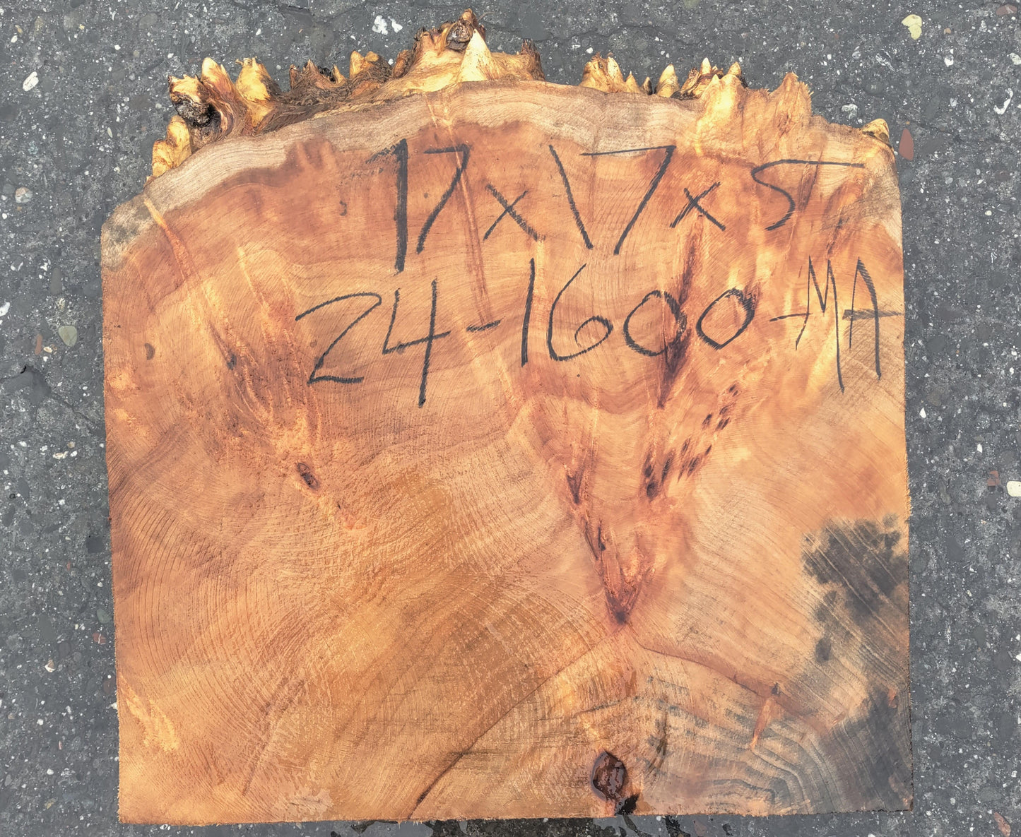 Spalted Maple burl | wood turning | Craft Woods | DIY crafts | ma24-1600