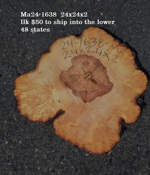 Maple Burl slab | live edge | cookie cut | DIY | End Table | Ma24-1638