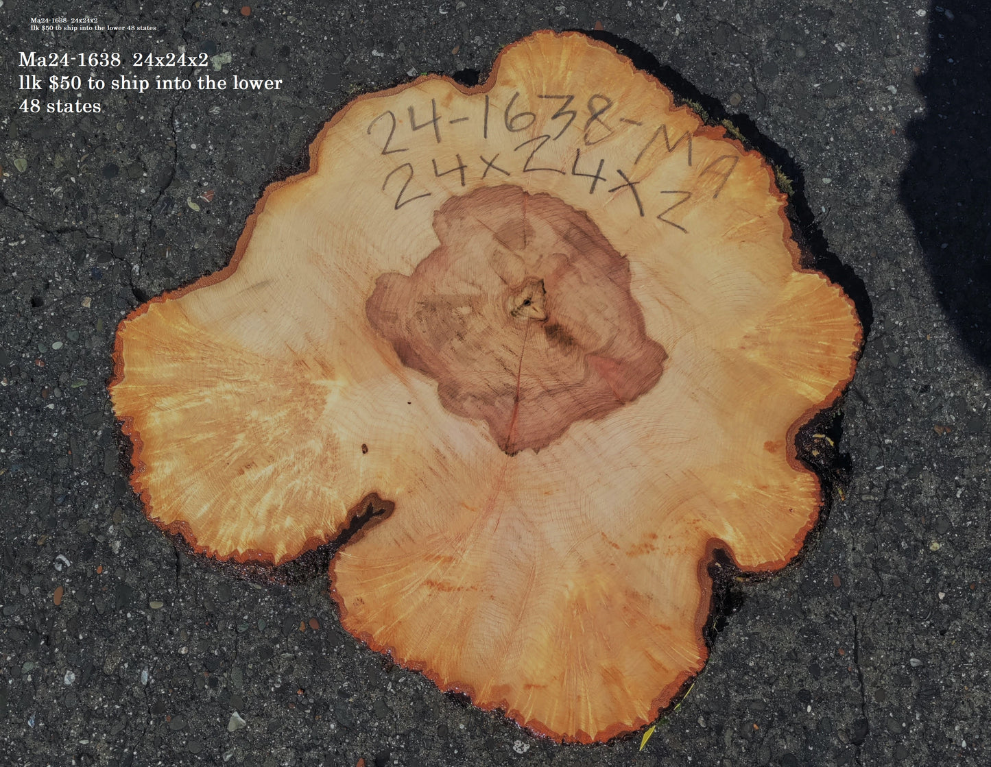Maple Burl slab | live edge | cookie cut | DIY | End Table | Ma24-1638