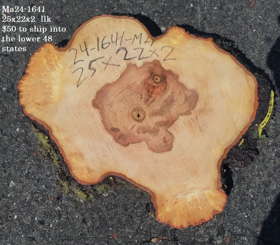 Maple Burl slab | live edge | cookie cut | DIY | End Table | Ma24-1641