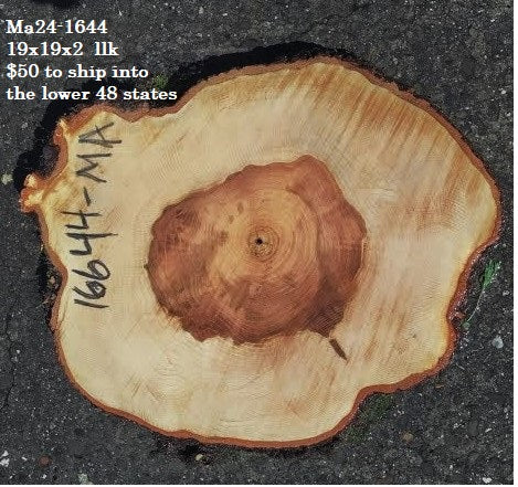 Maple Burl slab | live edge | cookie cut | DIY | End Table | Ma24-1644