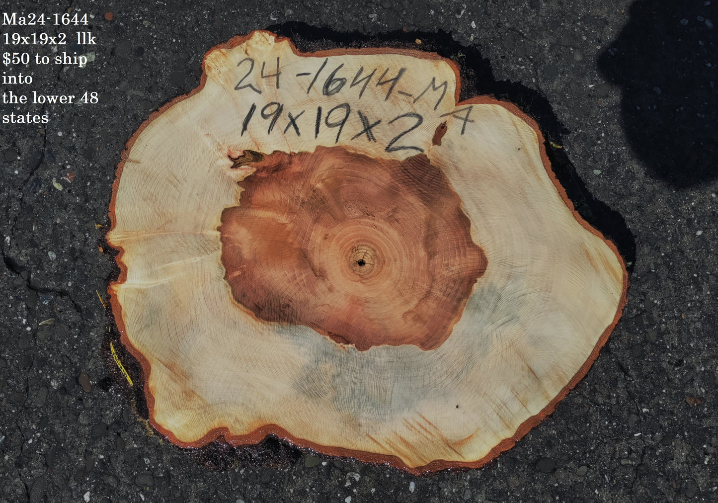Maple Burl slab | live edge | cookie cut | DIY | End Table | Ma24-1644