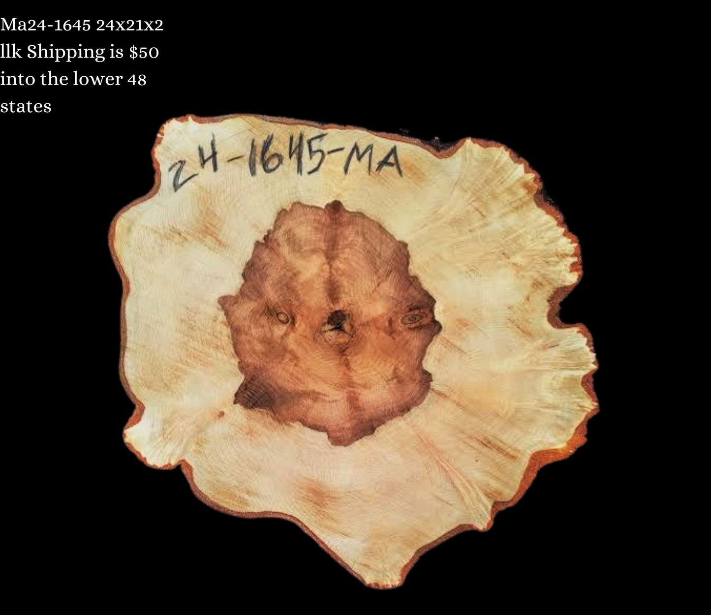 Maple Burl slab | live edge | cookie cut | DIY | End Table | Ma24-1645