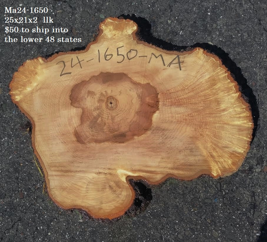 Maple Burl slab | live edge | cookie cut | DIY | End Table | Ma24-1650