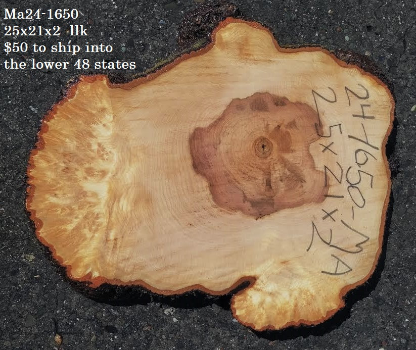 Maple Burl slab | live edge | cookie cut | DIY | End Table | Ma24-1650