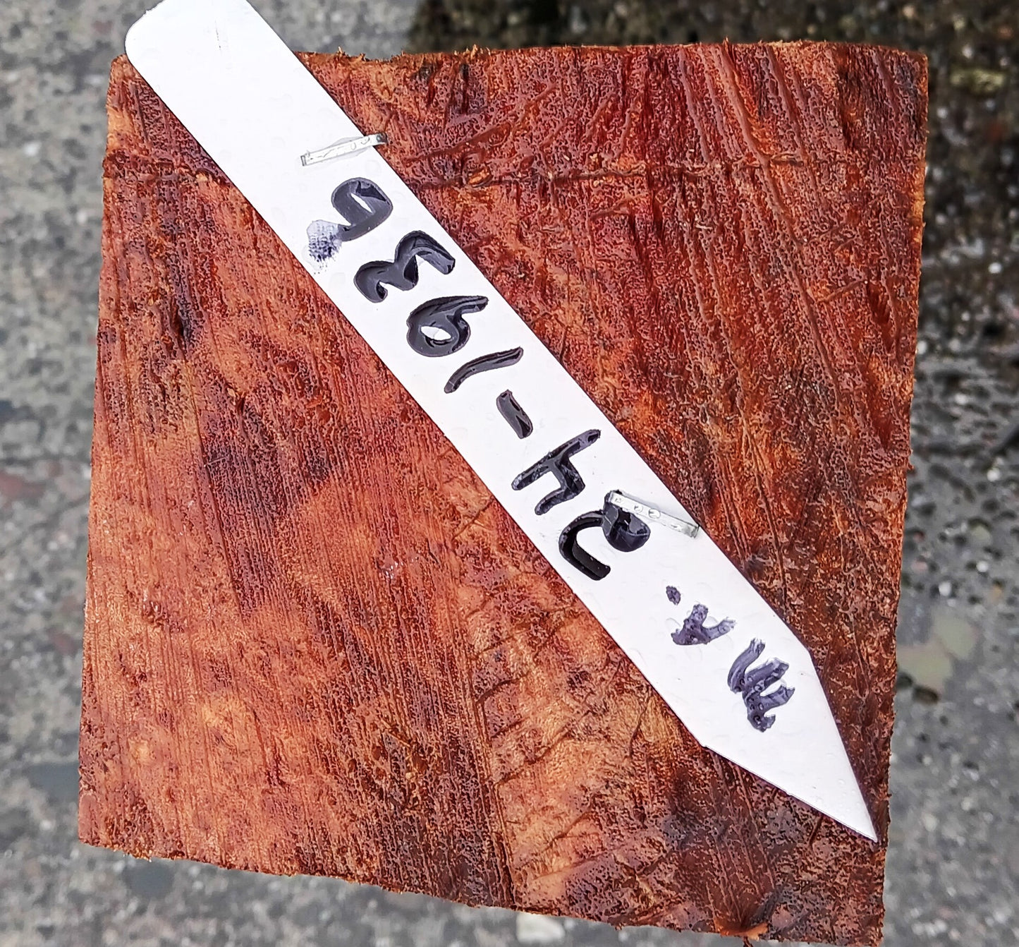 Maple Block | Craft Wood | Bowl Turning | Ma24-1936