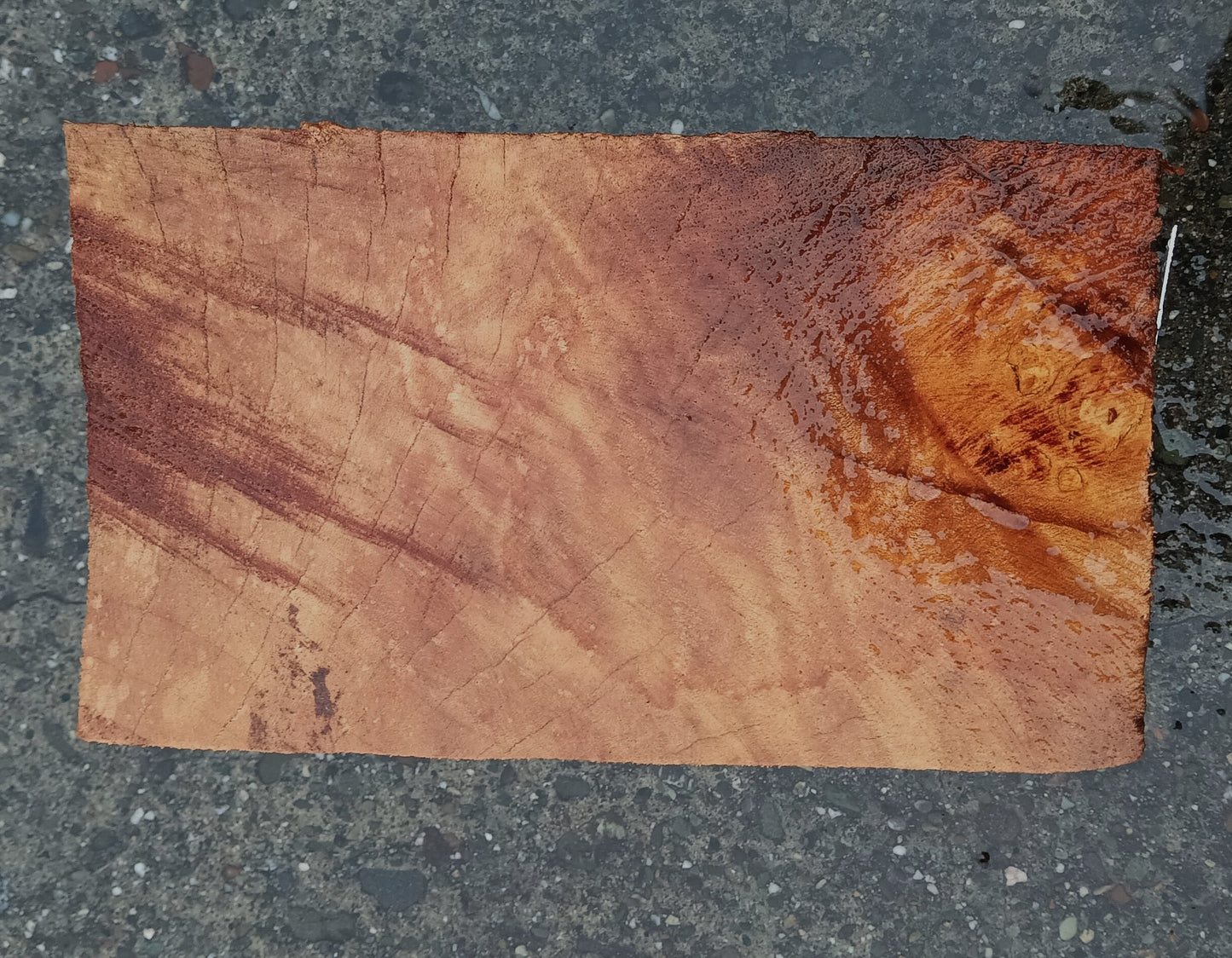 Maple Block | Craft Wood | Bowl Turning | Ma24-1936