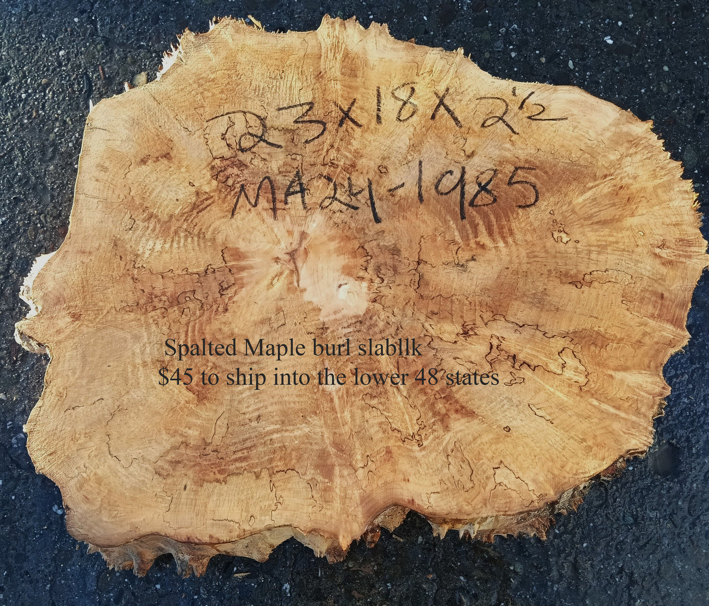 Maple Burl Slab | Table | DIY | Cookie Cut | P24-1985