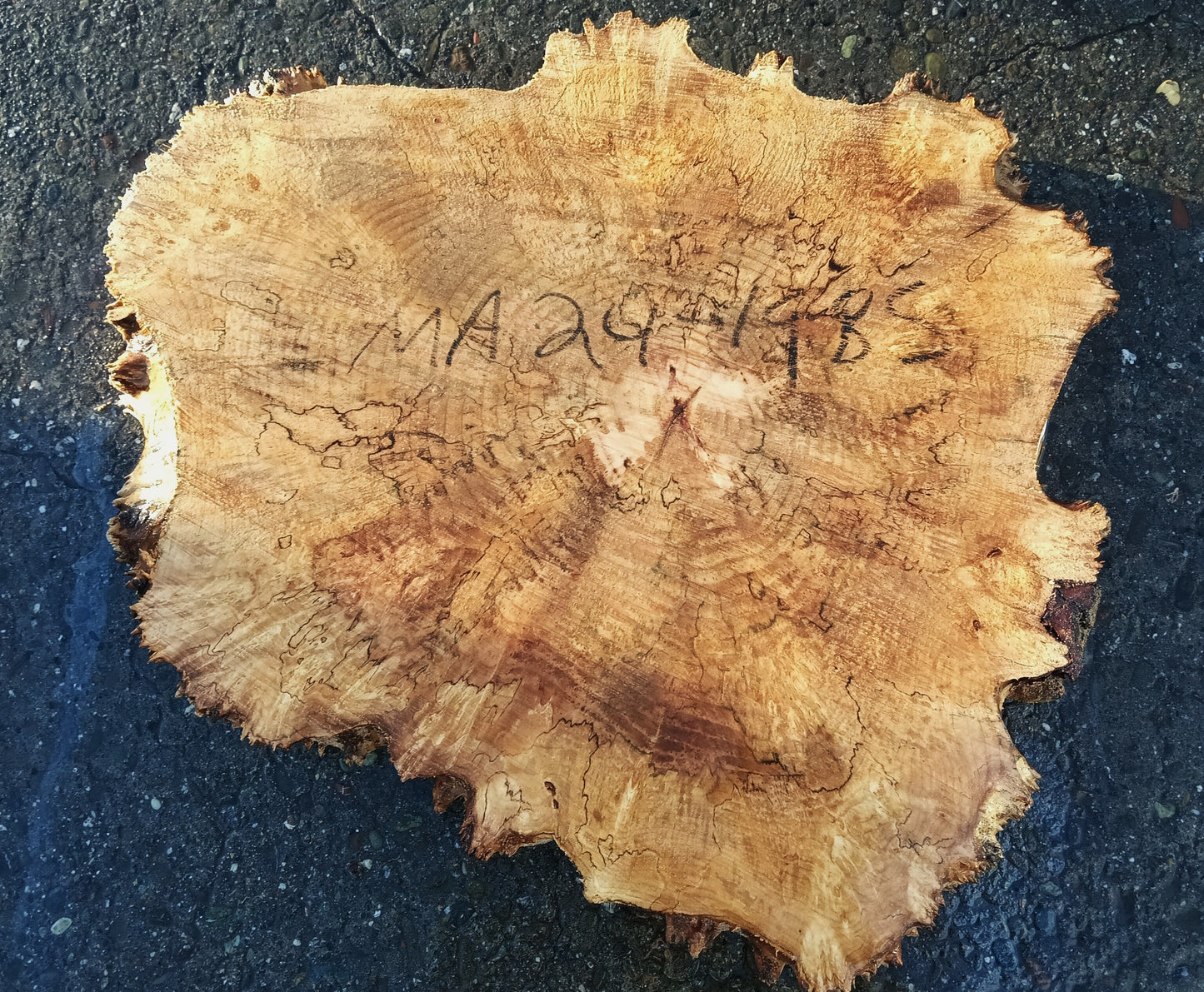 Maple Burl Slab | Table | DIY | Cookie Cut | P24-1985
