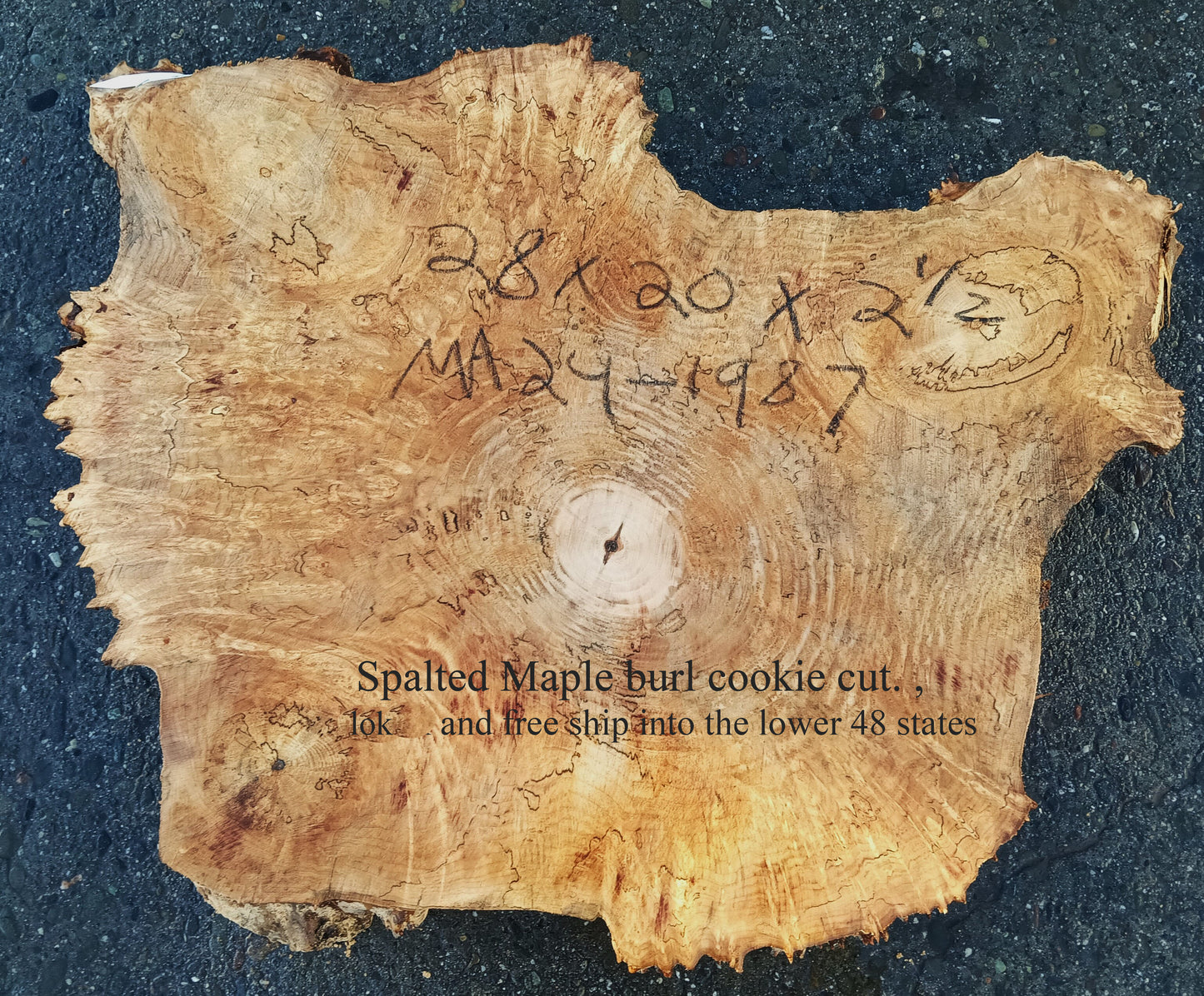 Maple Burl Slab | Table | DIY | Cookie Cut | Ma24-1987