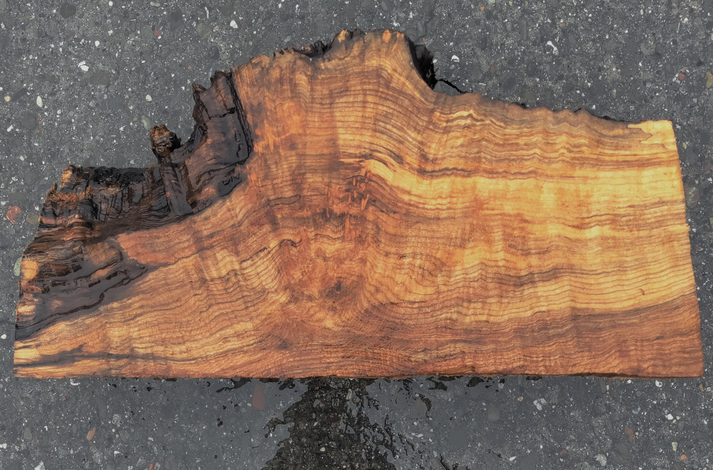 Maple burl | wood turning | Craft Woods | DIY crafts | ma24-1613