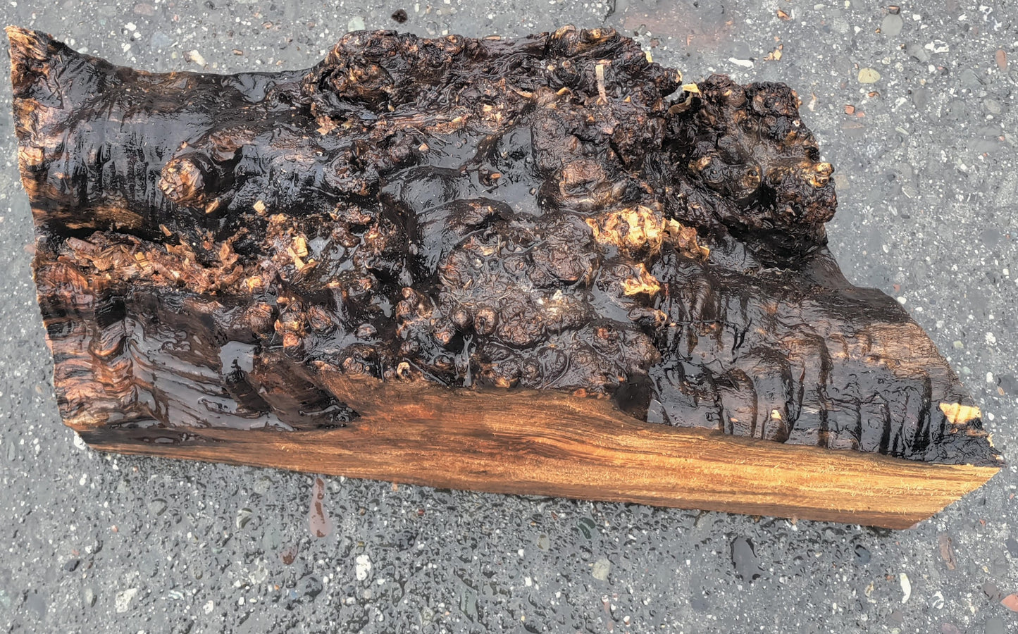 Maple burl | wood turning | Craft Woods | DIY crafts | ma24-1613
