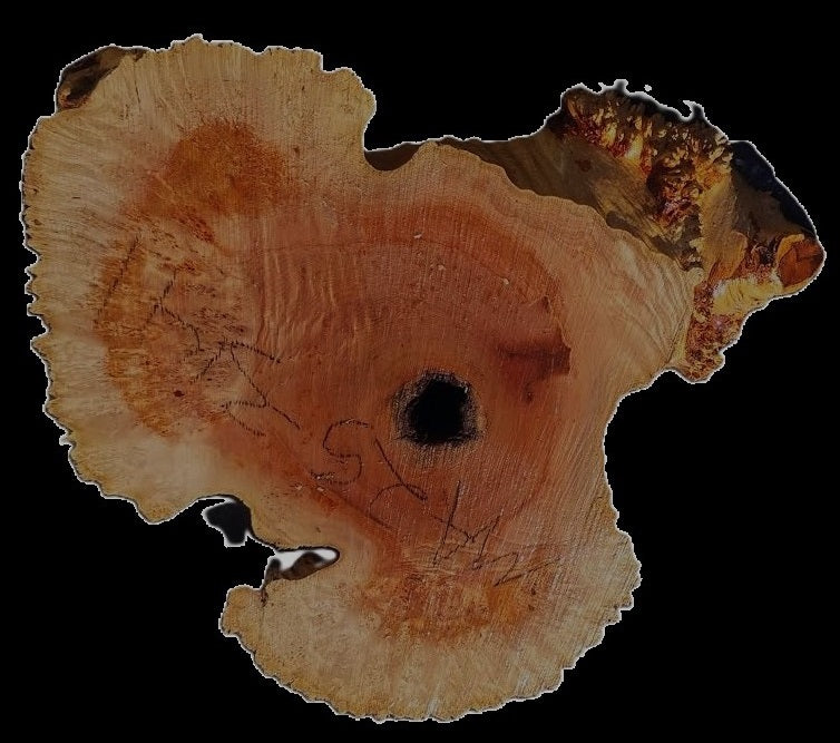 Maple Burl | Live Edge | River Table | DIY | Ma25-3141