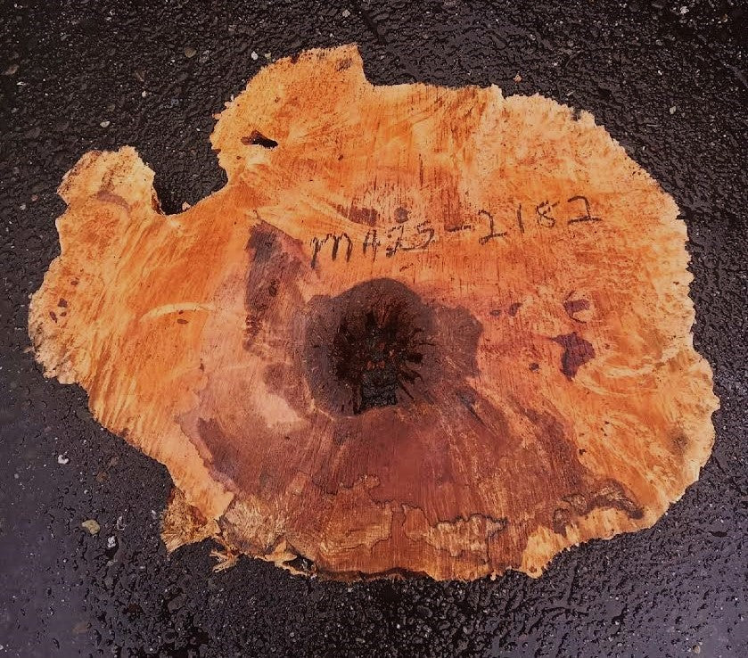Spalted Maple Burl | Cookie Cut | River Table | DIY | MA25-2182