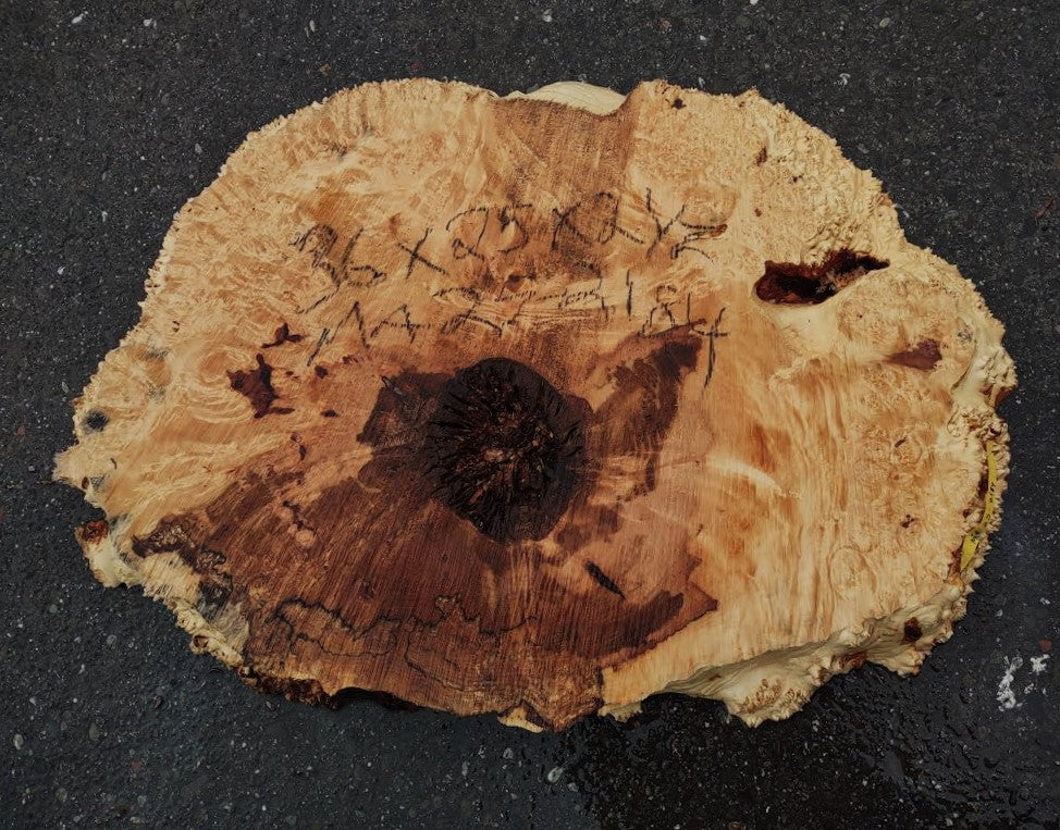 Spalted Maple Burl | Cookie Cut | River Table | DIY | MA25-2184