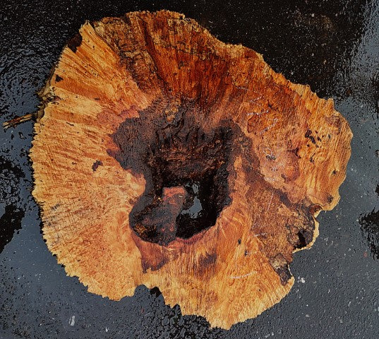 Spalted Maple Burl | Cookie Cut | River Table | DIY |  MA25-2187