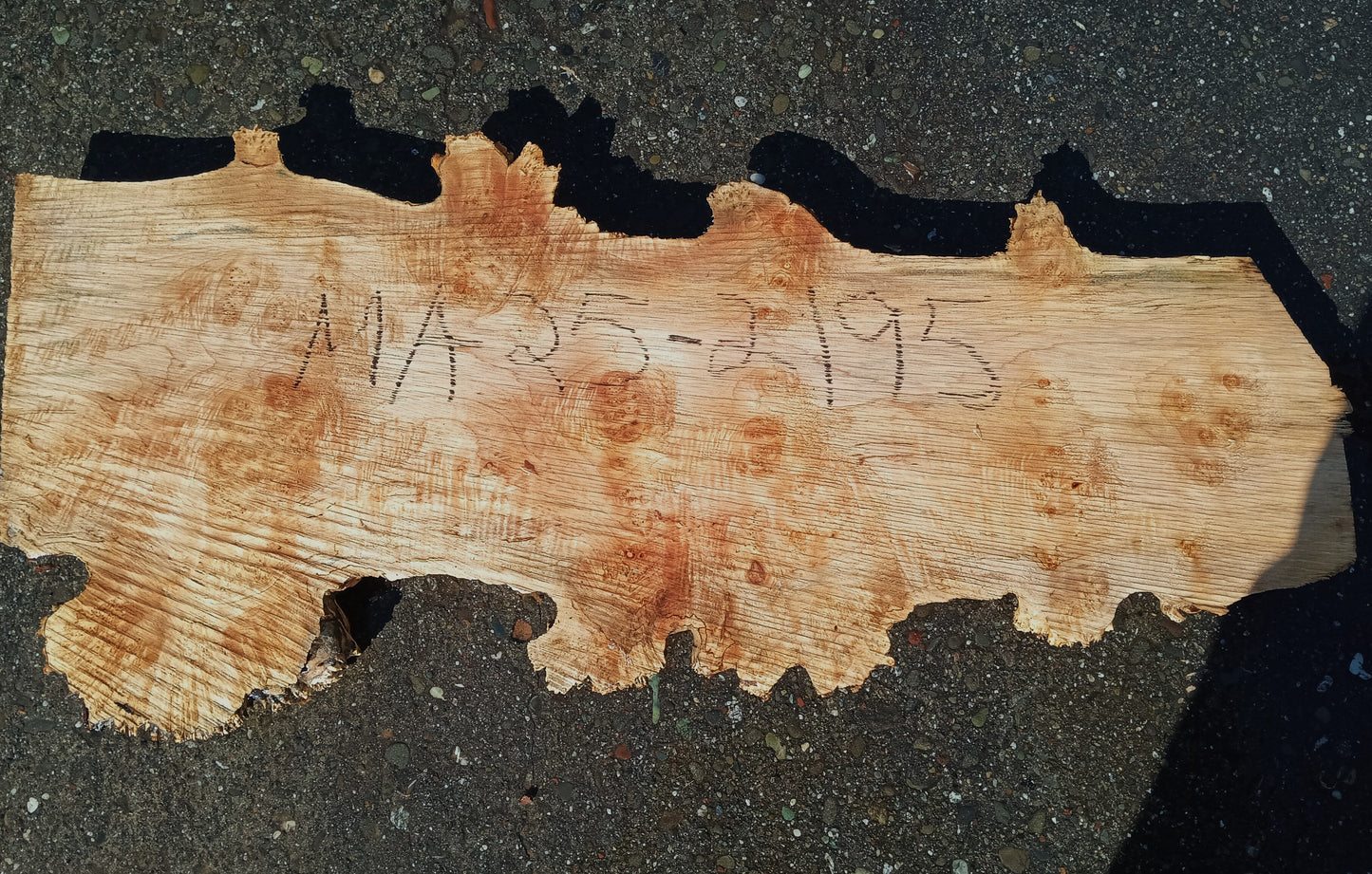 Maple Cluster Burl Slab | Charcuterie | Epoxy Table | Serving Tray | Ma25-2195