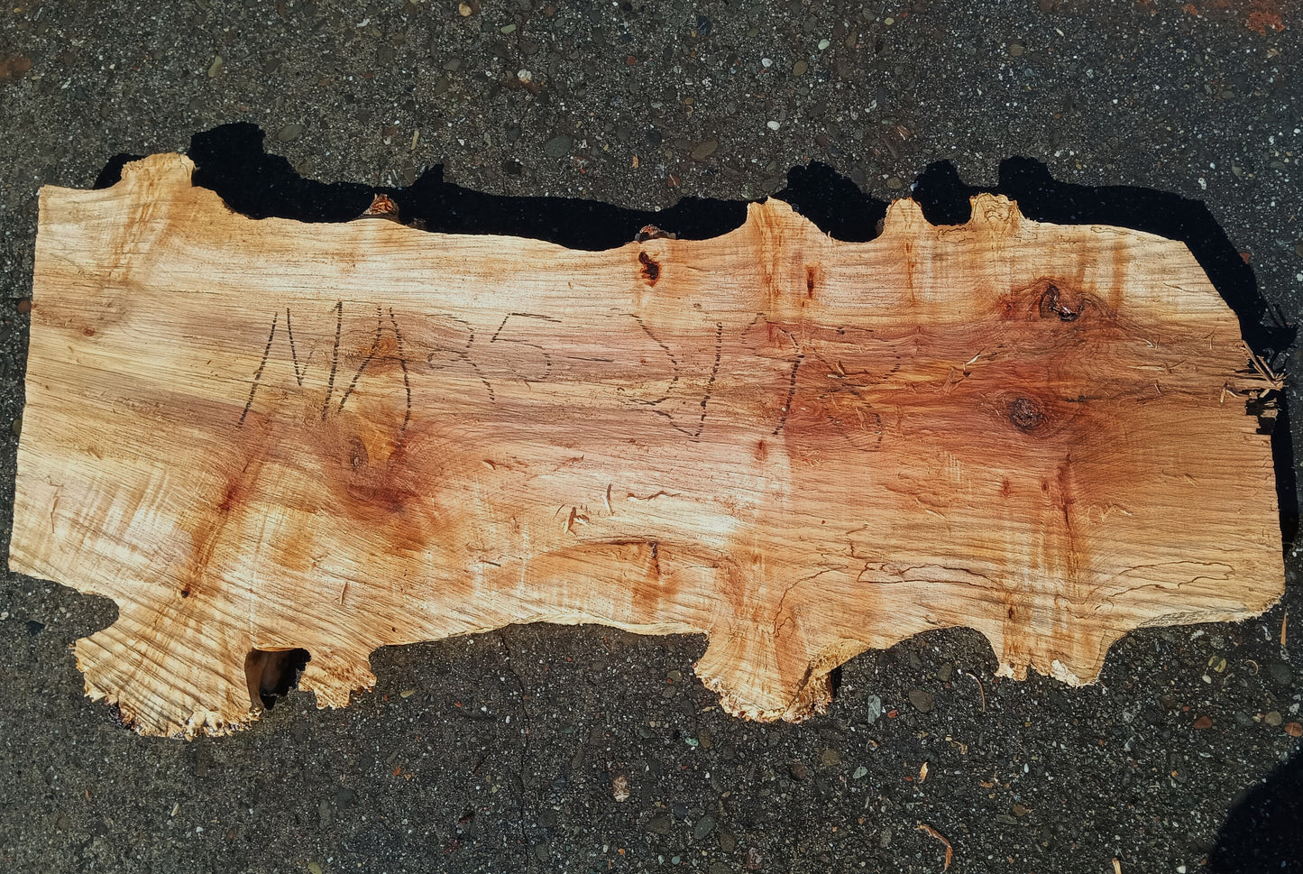 Maple Burl Slab | Charcuterie | Epoxy Table | Serving Tray | Ma25-2198