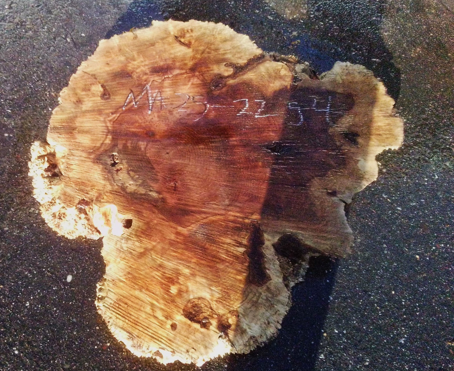Maple Burl Slab | DIY | Table | Craft Wood | River Table | MA25-2254