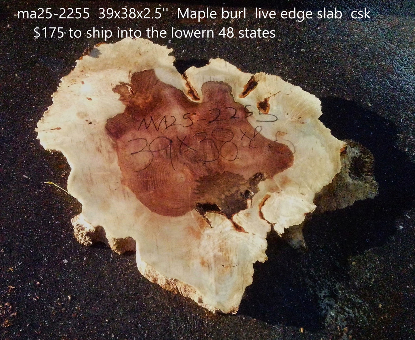 Maple Burl Slab | Live Edge | River Table | DIY | Ma25-2255