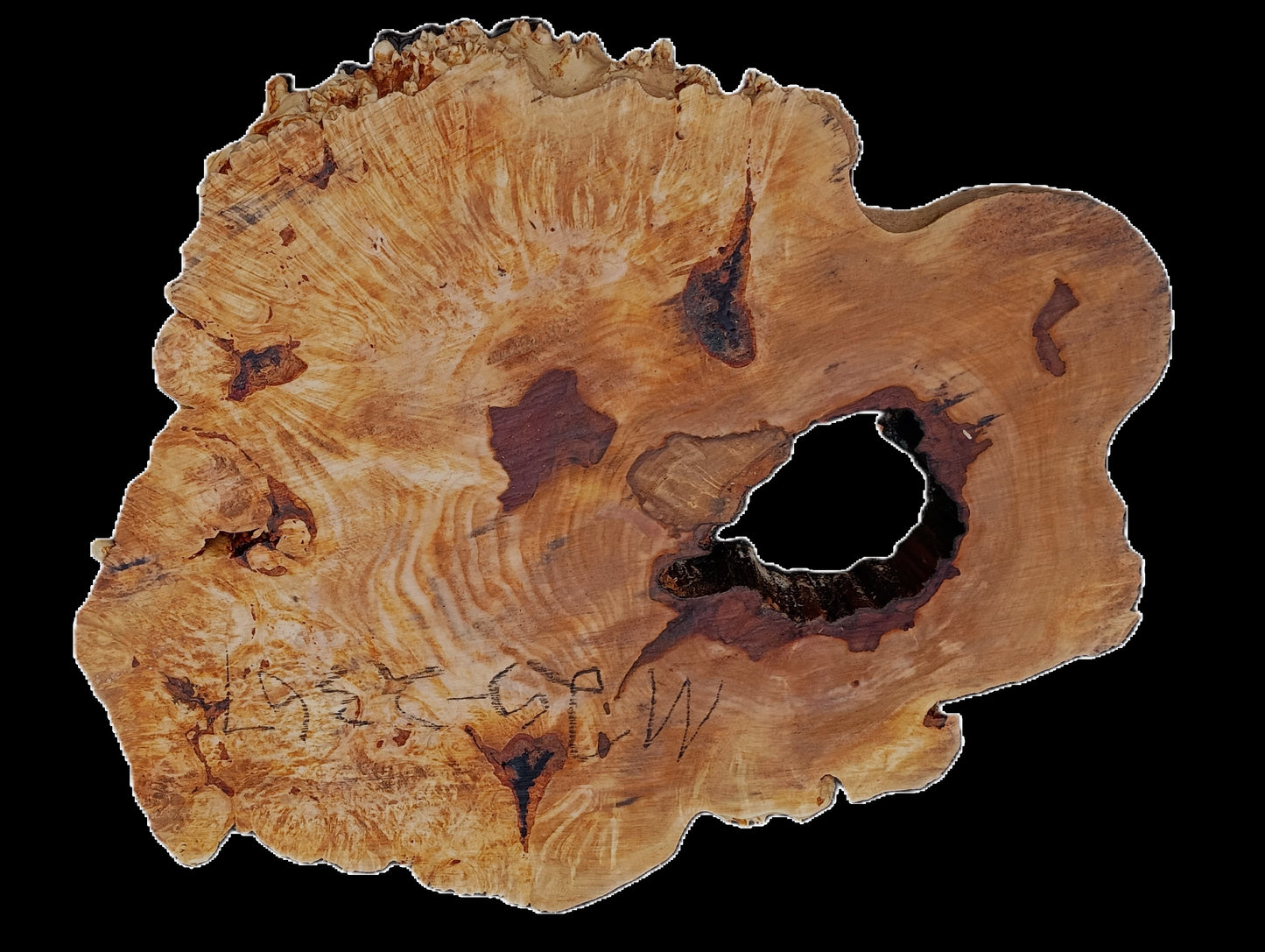 Maple Burl Slab | Live Edge | River Table | DIY | MA25-2367