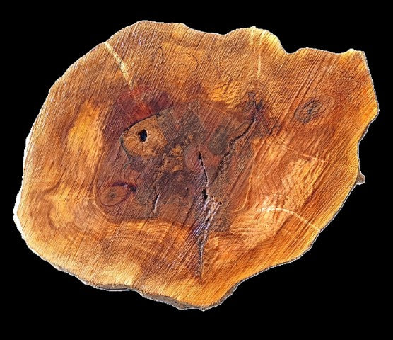 Maple Burl Cookie Cut | Live Edge | River Table | DIY | M25-2390