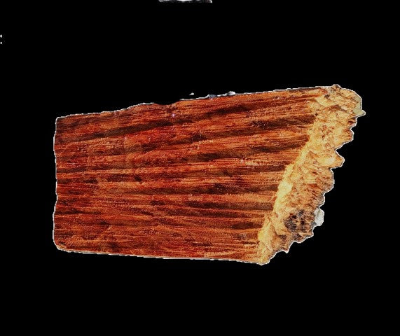 Maple Cap | Turning Wood | Craft Wood | DIY | MA25-2425