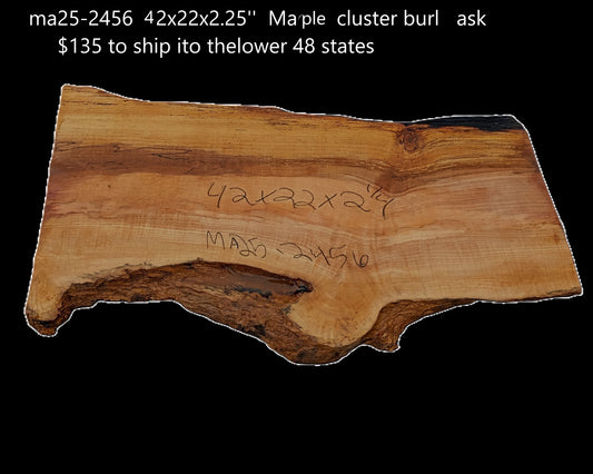 Curly Maple Slab | Live Edge | River Table | DIY | MA25-2455