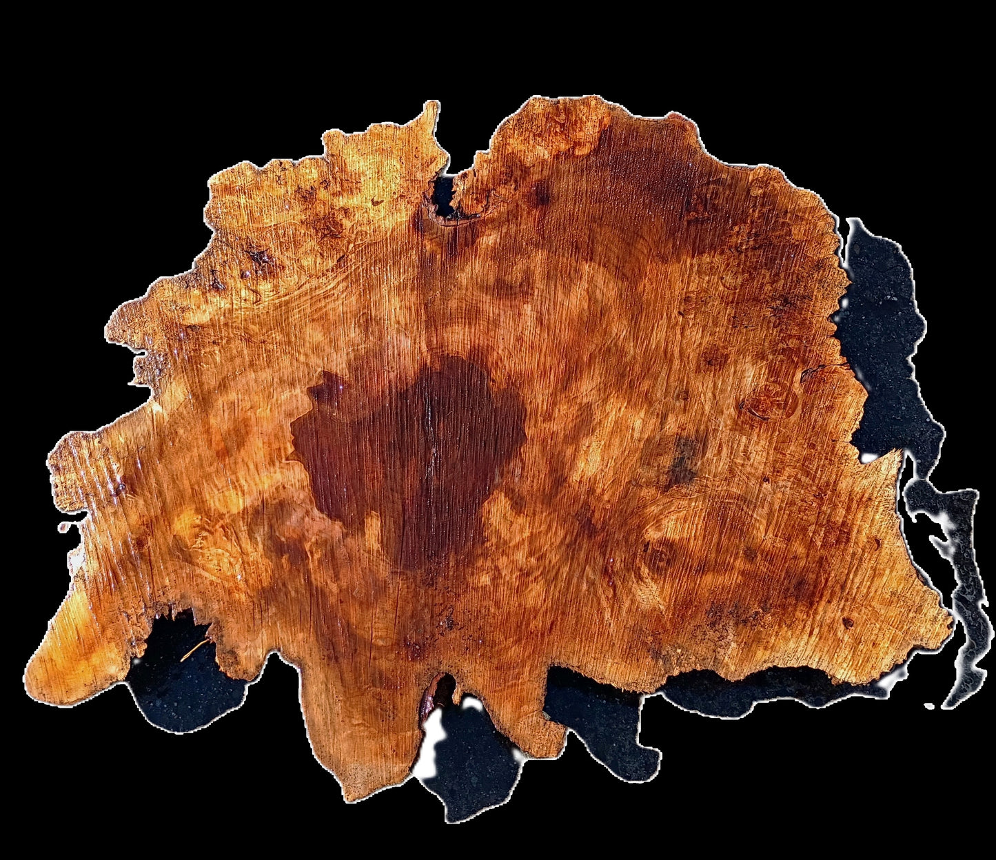 Maple Burl Slab | Cookie Cut | DIY | Burl Table | MA25-2468