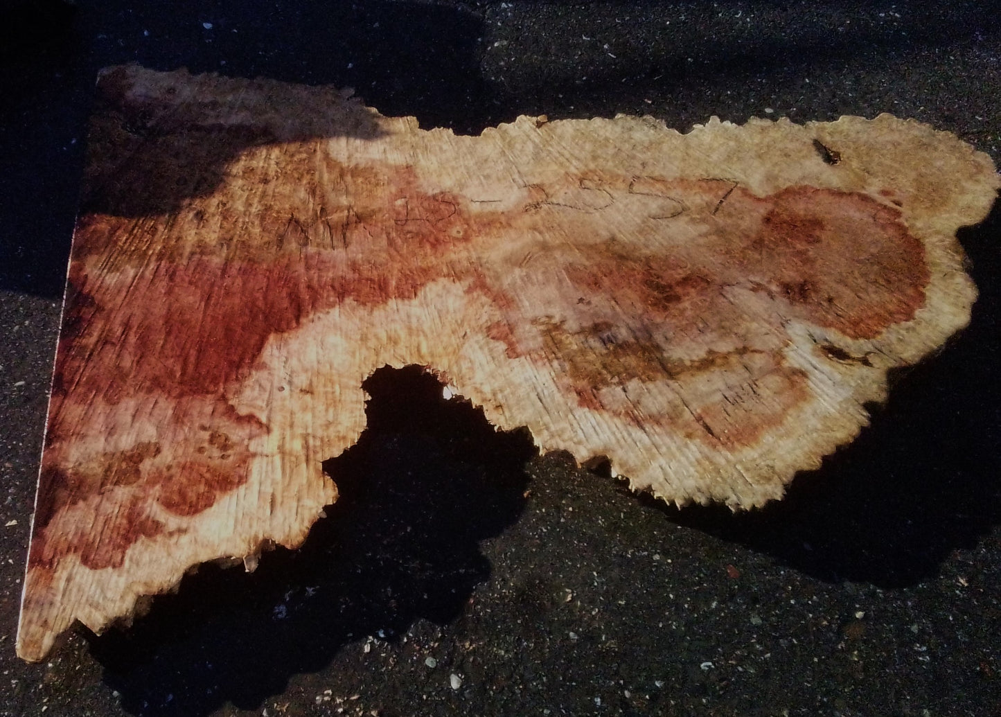 Maple Burl Slab | Live Edge | River Table | DIY | Ma25-2257