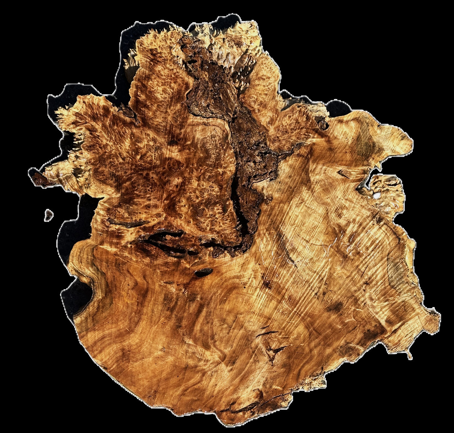 Maple Burl | Live Edge | River Table | DIY | MA25-2700
