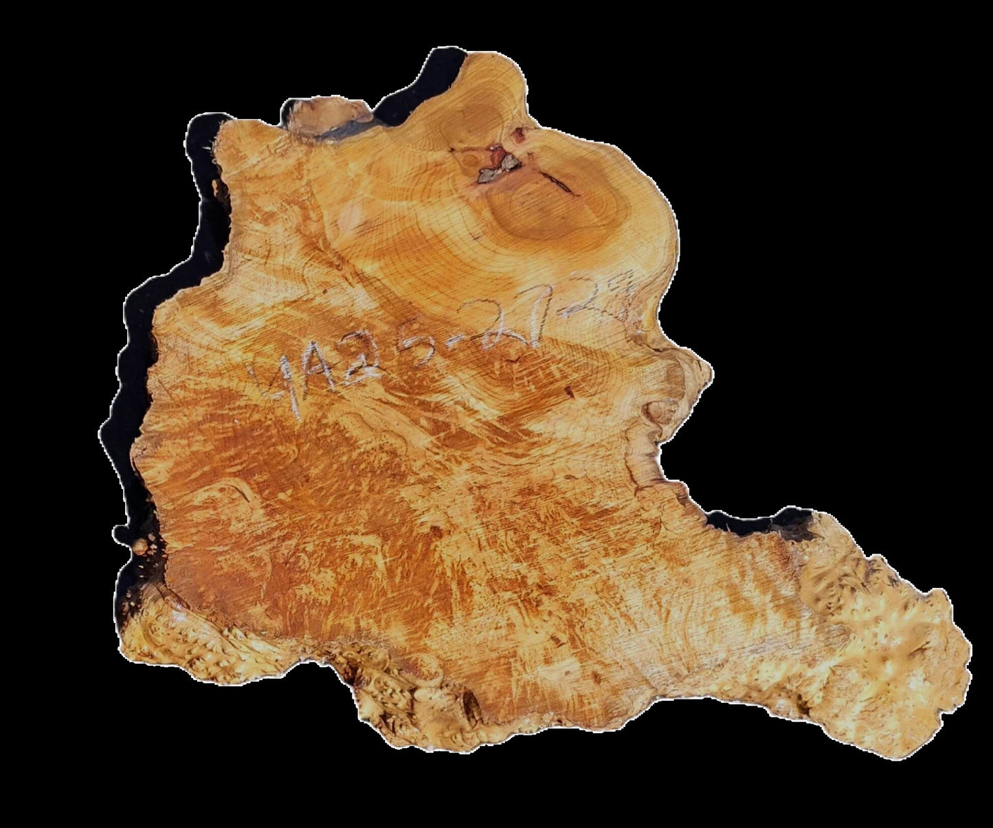 Maple Burl | Live Edge | River Table | DIY | MA25-2729