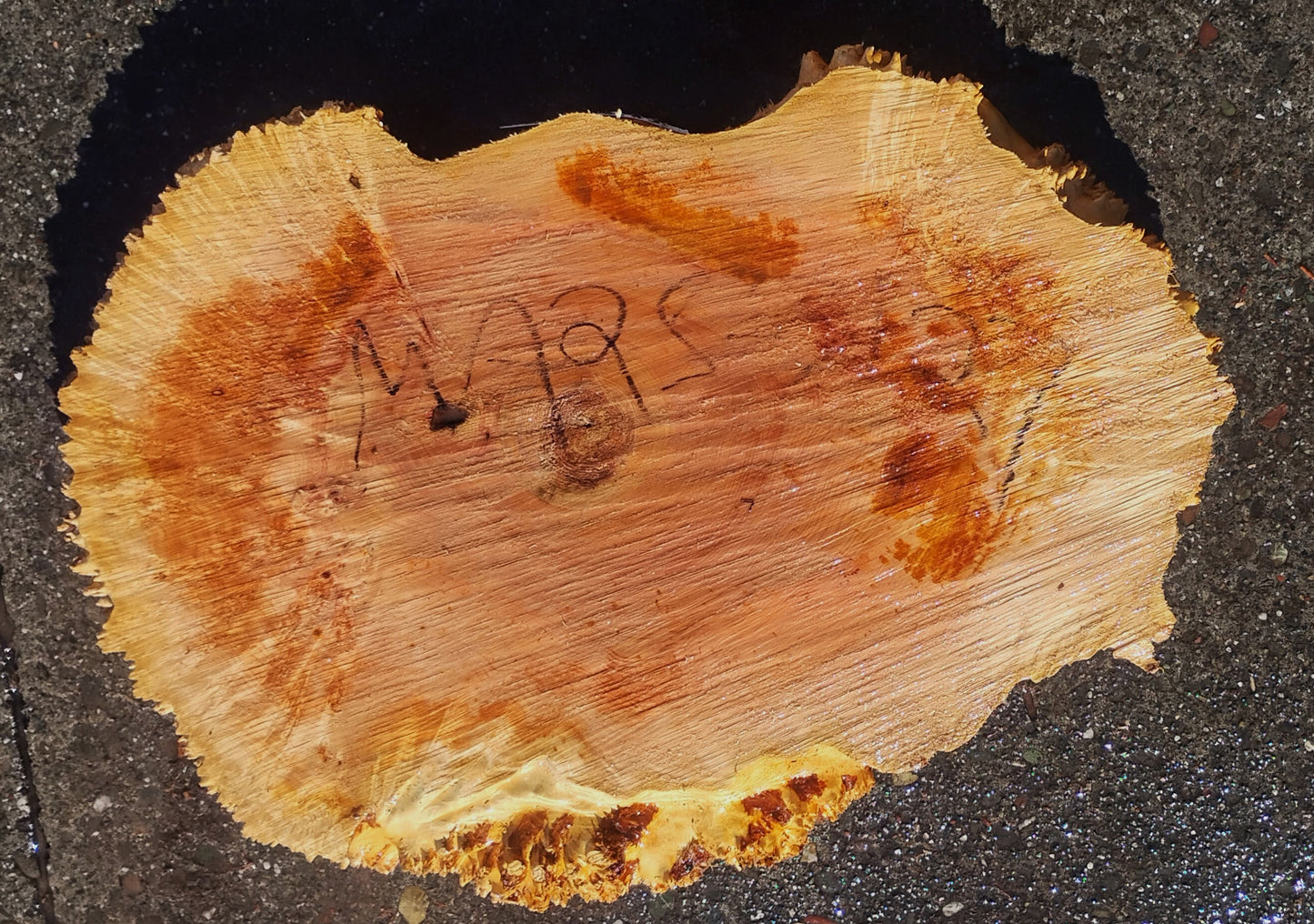 Maple Burl | Live Edge Slab | River Table | DIY | MA25-3127