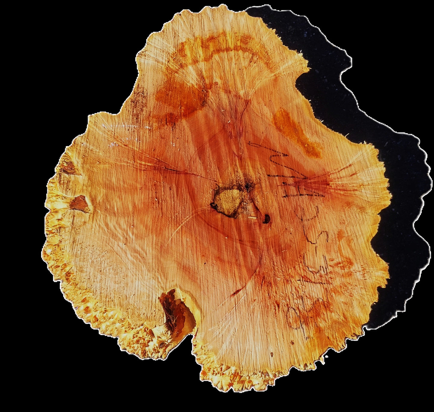 Maple Burl | Live Edge | River Table | DIY | M25-3138