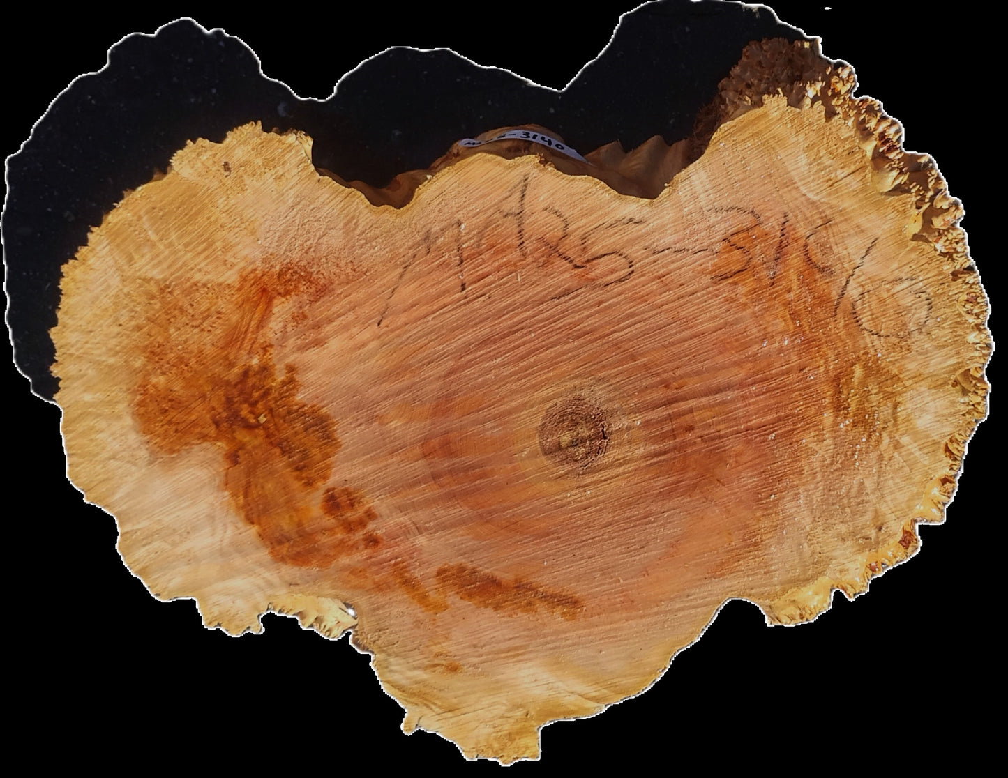 Maple Burl | Live Edge | River Table | DIY | Ma25-3140