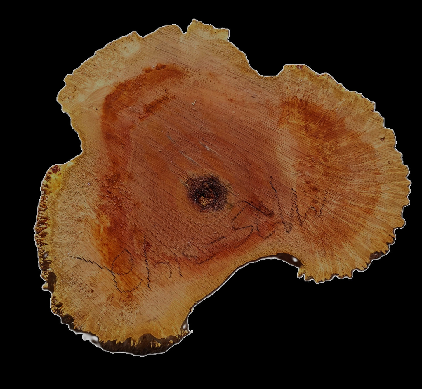 Maple Burl | Live Edge | River Table | DIY | Ma25-3142