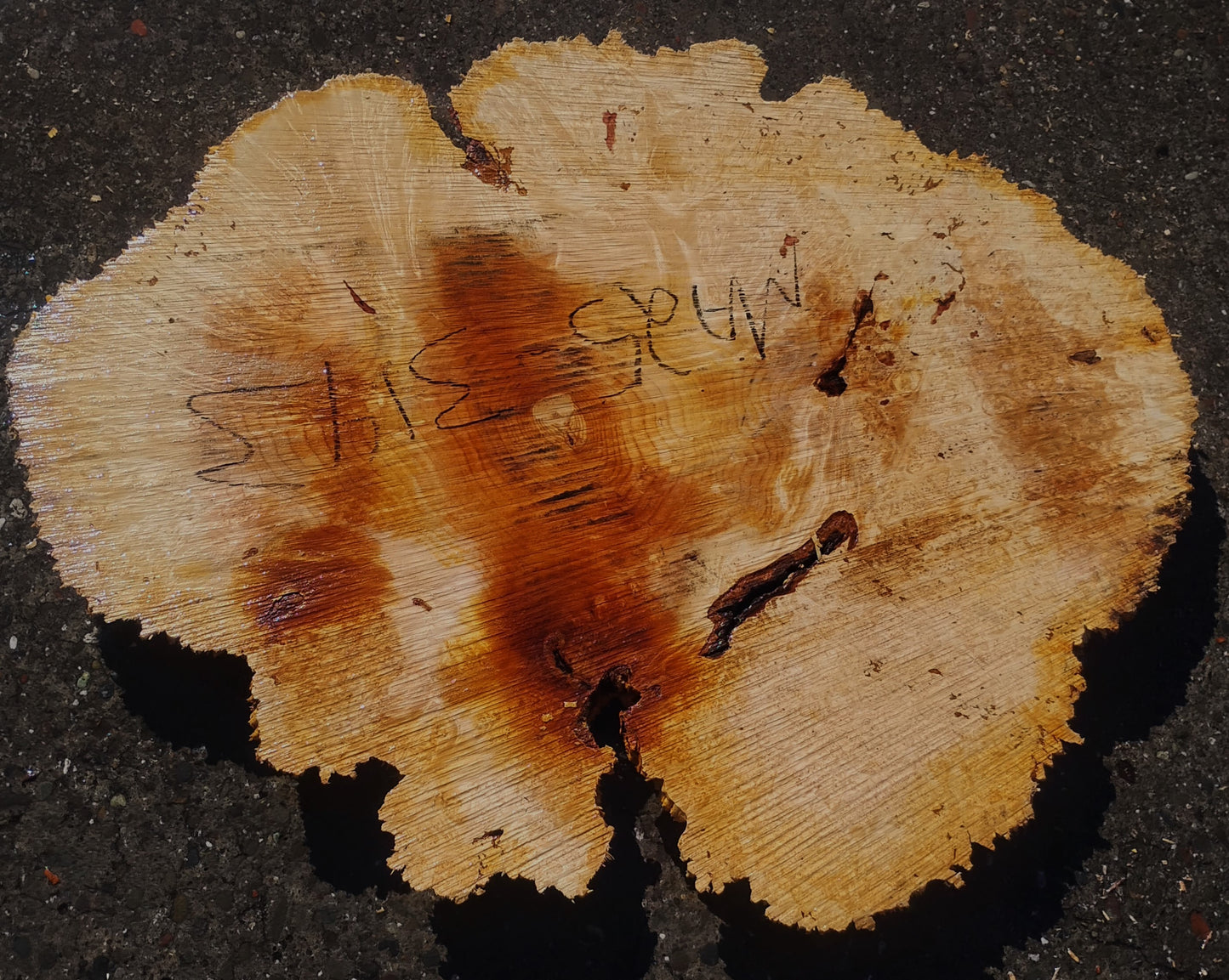 Maple Burl | Live Edge | River Table | DIY | Ma25-3143