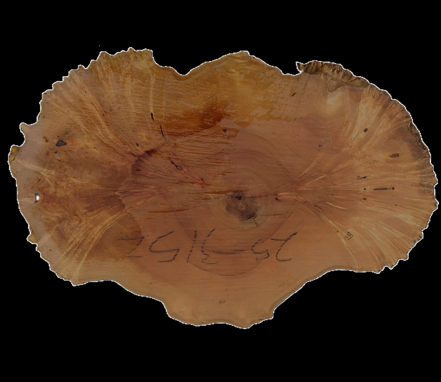 Maple Burl | Live Edge | River Table | DIY | Ma25-3152