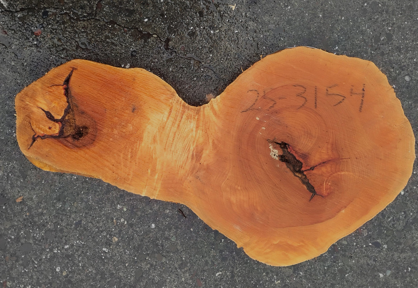 Maple Burl | Cookie Cut | River Table | DIY | Ma25-3154