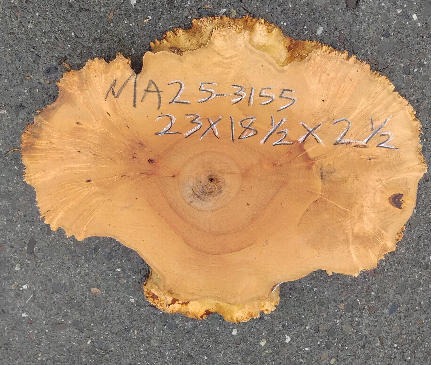 Maple Burl | Live Edge | River Table | DIY | Ma25-3155